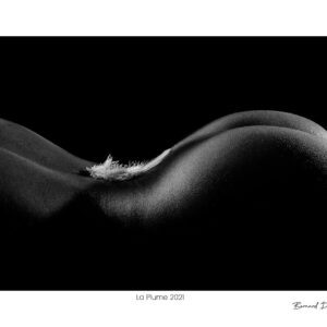 Bernard Delhalle Photographe Nu Artistique